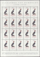 Delcampe - Liechtenstein Bloc Feuillet 1994 Y&T N°F1020 à F1021 - Michel N°KB1079 à KB1080 *** - EUROPA - Blocs & Feuillets