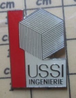 Delcampe - Pin513h   MARQUES USSI INGENIERIE FILIALE DE COGEMA - Administrations