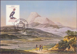 Delcampe - Liechtenstein CM 1994 Y&T N°1020 - Michel N°MK1079 - 80r Europa - Maximumkarten (MC)