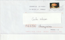 Delcampe - 2024 -- Tp Autocollant   Peinture  Louise Moillon -- Natures Mortes --         Seul Sur Lettre... - 1961-....
