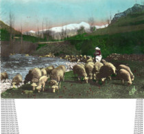 Delcampe - 86Scl  Troupeau De Mouton Et Bergére Dans Les Pyrennées (labouche) - Viehzucht