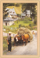 Delcampe - L Attelage Amene Le Char De Foin A La Grange Traditions De La Campagne Editions Bos Ytrac 17(scan Recto-verso) MA323 - Kunsthandwerk