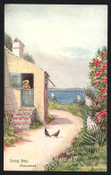 Delcampe - Künstler-AK Somerset, Long Bay - Bermuda