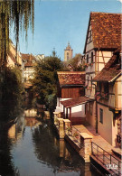 Delcampe - COLMAR LA Petite Venise 24(scan Recto-verso) MA566 - Colmar