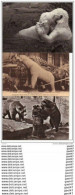 Delcampe - 2 Cpa + 2cp   (  Animaux)      Les OURS Ref E.0846 - Beren