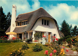 Delcampe - Carte Postale - 62 - Cote D'Opale - CPM - Voir Scans Recto-Verso - Poscard - Carta Postal -  Postkarte - Sonstige & Ohne Zuordnung