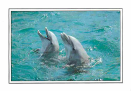 Delcampe - Carte Postale - Animaux - Dauphins - CPM - Voir Scans Recto-Verso - Poscard - Carta Postal -  Postkarte - Dolfijnen