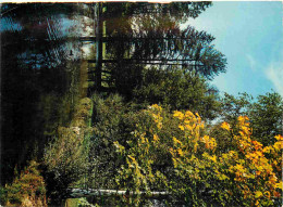 Delcampe - Carte Postale - Belgique - Spa - Domaine De Niveze - Le Parc - CPM - Etat Froissures - Voir Scans Recto-Verso - Poscard - Spa