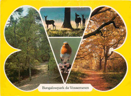 Delcampe - Carte Postale - Belgique - Vossemeren - Bungalowpark - Multivues - Rouge Gorge - Oiseaux - Center Parcs - CPM - Voir Sca - Autres & Non Classés