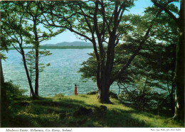 Delcampe - Carte Postale - Irlande - Kerry - Killarney - Muckross Estate - Ireland - Irlanda - CPM - Voir Scans Recto-Verso - Posca - Kerry
