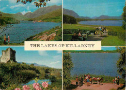 Delcampe - Carte Postale - Irlande - Kerry - Killarney - Lakes Of Killarney - Multivues - Ireland - Irlanda - CPM - Voir Scans Rect - Kerry