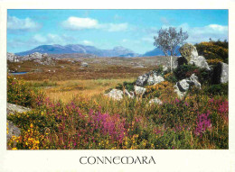 Delcampe - Carte Postale - Irlande - Galway - Connemara - Ireland - Irlanda - CPM - Voir Scans Recto-Verso - Poscard - Carta Postal - Galway