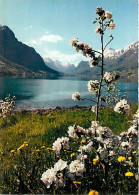 Delcampe - Carte Postale - Norvège - Fruktblomstring - Fruit Blossom Time - Fleurs - Norge - Norway - CPM - Voir Scans Recto-Verso - Norwegen