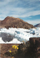 Delcampe - Carte Postale - Islande - Sungaartorsuit - Fjeldvalmue - Carte Neuve - Iceland - CPM - Voir Scans Recto-Verso - Poscard - Islande