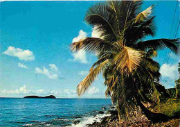 Delcampe - Carte Postale - Antilles - Grève Caraibe - CPM - Voir Scans Recto-Verso - Poscard - Carta Postal -  Postkarte - Autres & Non Classés