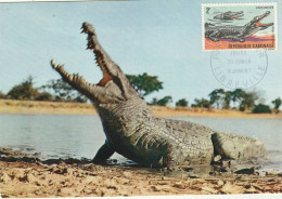 Delcampe - Carte Maximum Gabon - Crocodile - Andere & Zonder Classificatie