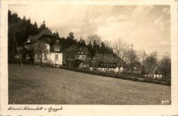Delcampe - Kurort Bärenfels. - Altenberg