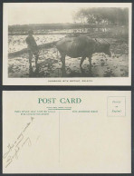 Delcampe - Malacca Old Real Photo Postcard Native Farmer Ploughing With Buffalo Paddy Field - Non Classés
