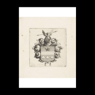 Delcampe - Covered With Clover Blades - Estampes & Gravures