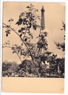 Delcampe - CPSM / CPM 10.5 X 15 Photo Albert MONIER "Fleur De PARIS " Devant La Tour Eiffel - Monier