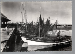 Delcampe - LE GUILVINEC Sardiniers Et Thoniers Devant La Criée 1961 JOS - Guilvinec