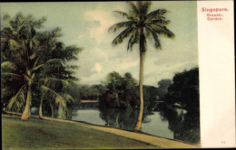 Delcampe - CPA Singapore Singapur, Botanic Garden - Singapur