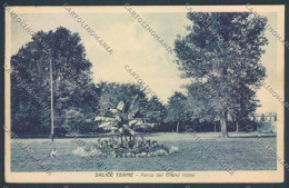 Delcampe - Pavia Salice Terme Cartolina LQ5198 - Pavia