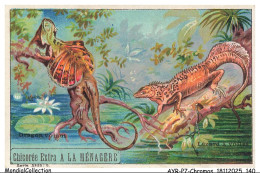 Delcampe - AYRP7-0504-CHROMOS - Chicorée A La Ménagère - Dragon Volant - Lézard A Voiles - Tè & Caffè