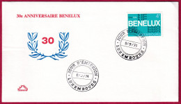 Delcampe - Luxenburg MNr. 981 Ersttagsbrief 9.9. 1974, 30 Jahre Zollunion BENELUX (B Nr. 932) - FDC