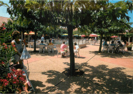 Delcampe - 34 - LE CAP D'AGDE - Agde