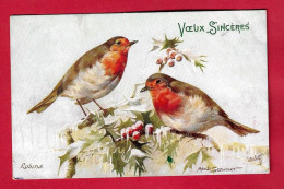 Delcampe - AF285 FANTAISIES OISEAUX ROUGE- GORGE HOUX NEIGE FANCIES BIRDS OILETTE MAUDE SCRIVENER - Vogels