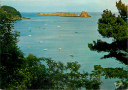Delcampe - 35 - CANCALE - Cancale