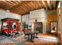 Delcampe - 37 - AMBOISE - LE CLOS LUCE - Amboise