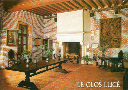 Delcampe - 37 - AMBOISE - LE CLOS LUCE - Amboise