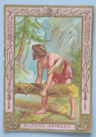 Delcampe - Calendrier 1906 Chocolat POULAIN Série Fleurs Animées - Petit Format : 1901-20