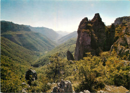 Delcampe - 34 - LODEVE - Lodeve