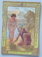Delcampe - Calendrier 1906 Chocolat POULAIN Série Fleurs Animées - Petit Format : 1901-20
