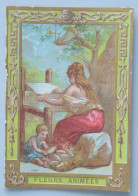 Delcampe - Calendrier 1906 Chocolat POULAIN Série Fleurs Animées - Petit Format : 1901-20