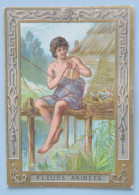 Delcampe - Calendrier 1904 Chocolat POULAIN Série Fleurs Animées - Petit Format : 1901-20