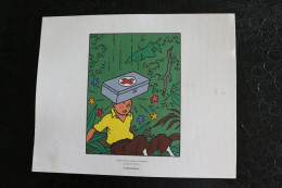 Delcampe - Ex-Libris-Tintin - Trois Dessins De Hergé- Extrait De Les Cigares Du Pharaon - Planche 33 Strip/11-12-13 - Dim:240x193mm - Ilustradores G - I