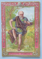 Delcampe - Calendrier 1904 Chocolat POULAIN Série Fleurs Animées - Petit Format : 1901-20