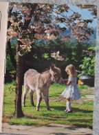 Delcampe - Petit Calendrier De Poche Agenda 1987  Enfant âne  Livry Gargan Seine St Denis  - St Jean Calendriers - 16 Pages - Petit Format : 1981-90