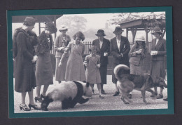 Delcampe - ENGLAND - London Zoo 1939 Nostalgia Postcard - Königshäuser