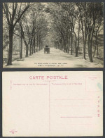 Delcampe - China Old Postcard The Acacia Avenue In Central Park Dairen Cart Tree 大連中央公園內 並木 - China