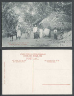 Delcampe - Ceylon Old Postcard Road Scene On The Way To Kelaniya Temple Colombo Native Monk - Sri Lanka (Ceylon)
