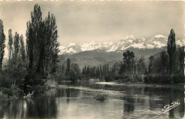 Delcampe - 38 - GRENOBLE - L'ILE D'AMOUR - Grenoble
