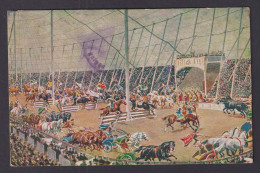 Delcampe - Vintage Postcard Germany Circus Maxim II Roman Arena Games Chariot Races - Zirkus