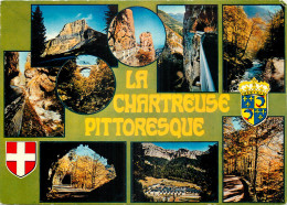 Delcampe - 38 - LA CHARTREUSE PITTORESQUE - Chartreuse