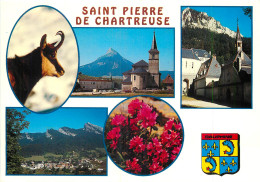 Delcampe - 38 - SAINT PIERRE DE CHARTREUSE - Chartreuse