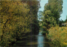 Delcampe - 38 - PONT DE CHERUY - Pont-de-Chéruy